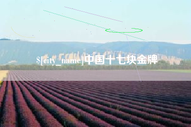 乐平中国十七块金牌