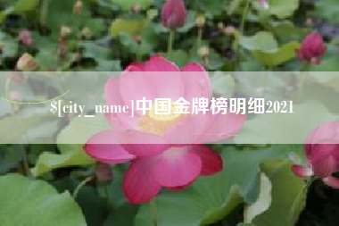 乐平中国金牌榜明细2021