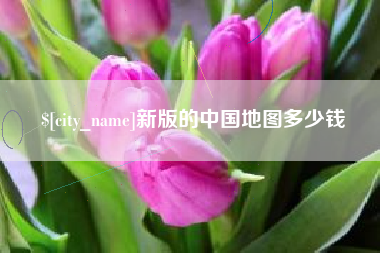 乐平新版的中国地图多少钱