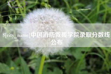 乐平中国消防救援学院录取分数线公布
