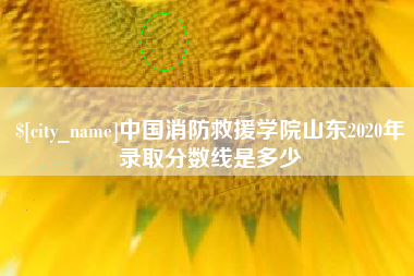 乐平中国消防救援学院山东2020年录取分数线是多少