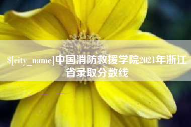 乐平中国消防救援学院2021年浙江省录取分数线