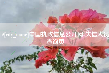 乐平中国执政信息公开网-失信人员查询页