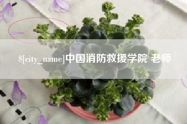 乐平中国消防救援学院 老师