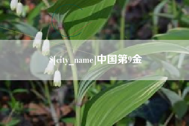 乐平中国第9金