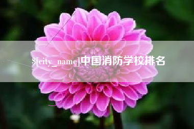 乐平中国消防学校排名
