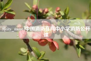 乐平中国消防官网中小学消防公开课