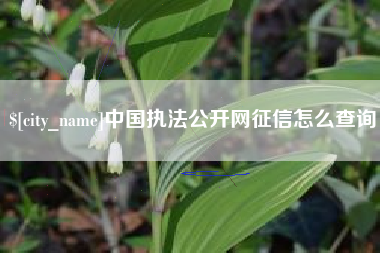 乐平中国执法公开网征信怎么查询
