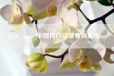乐平中国执行记录查询系统app