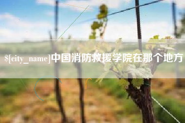 乐平中国消防救援学院在那个地方
