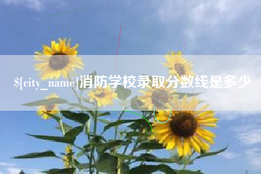 乐平消防学校录取分数线是多少