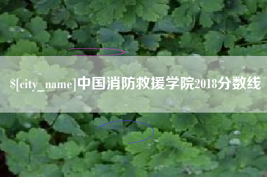 乐平中国消防救援学院2018分数线