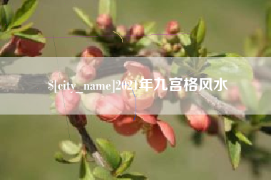 乐平2021年九宫格风水