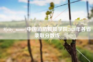 乐平中国消防救援学院2020年各省录取分数线