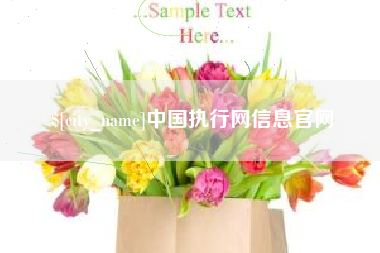 乐平中国执行网信息官网