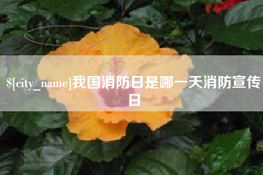 乐平我国消防日是哪一天消防宣传日