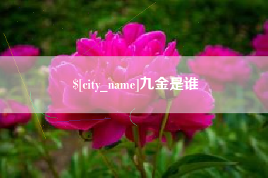 乐平九金是谁