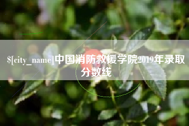 乐平中国消防救援学院2019年录取分数线