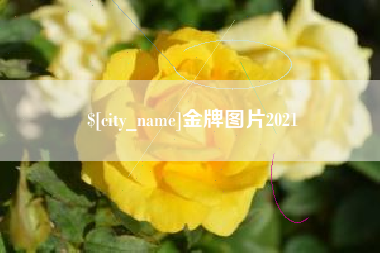 乐平金牌图片2021