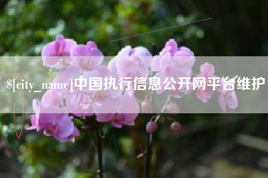 乐平中国执行信息公开网平台维护