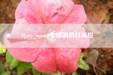 乐平全国消防日海报