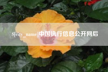 乐平中国执行信息公开网后