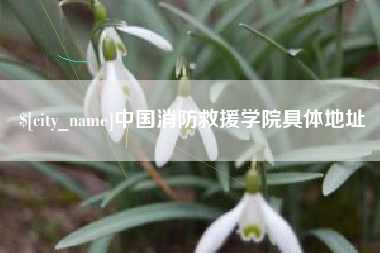 乐平中国消防救援学院具体地址