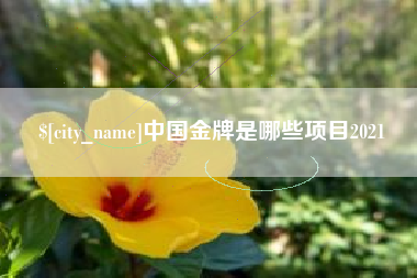 乐平中国金牌是哪些项目2021