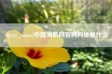 乐平中国消防网官网网址是什么