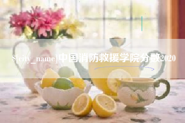 乐平中国消防救援学院分数2020