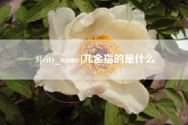 乐平九金指的是什么