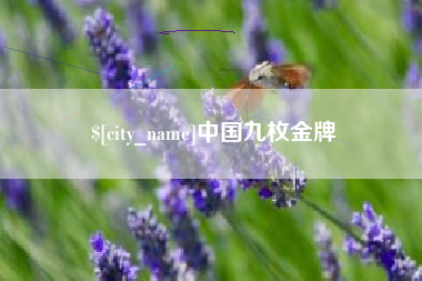 乐平中国九枚金牌