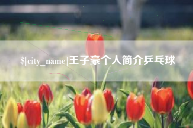 乐平王子豪个人简介乒乓球