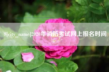 乐平2020年消防考试网上报名时间