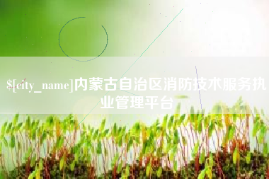 乐平内蒙古自治区消防技术服务执业管理平台