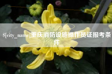 乐平重庆消防设施操作员证报考条件