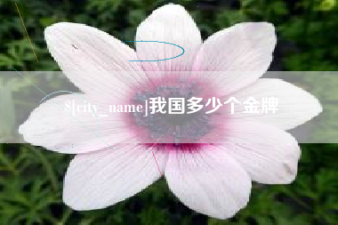 乐平我国多少个金牌