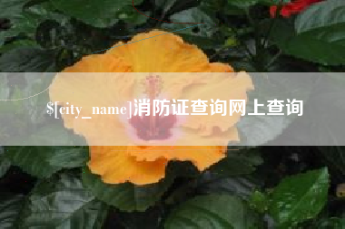 乐平消防证查询网上查询
