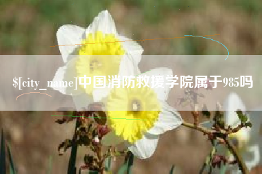 乐平中国消防救援学院属于985吗