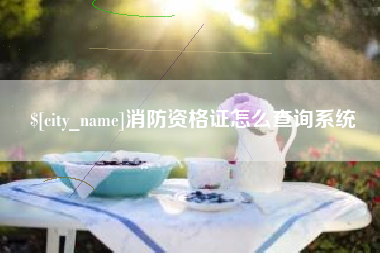 乐平消防资格证怎么查询系统