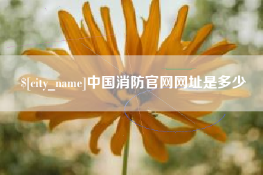 乐平中国消防官网网址是多少