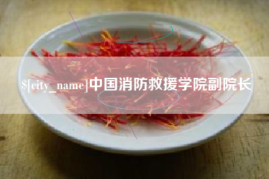 乐平中国消防救援学院副院长