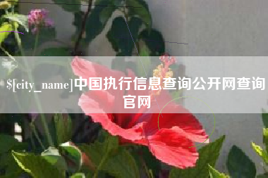 乐平中国执行信息查询公开网查询官网