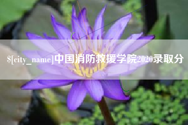 乐平中国消防救援学院2020录取分