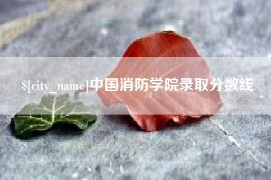 乐平中国消防学院录取分数线