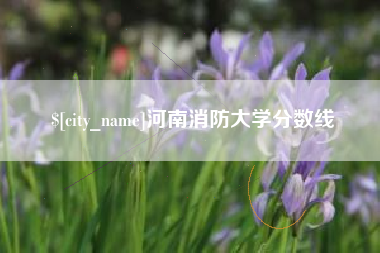 乐平河南消防大学分数线