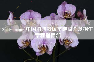 乐平中国消防救援学院简介及招生章程指挥部