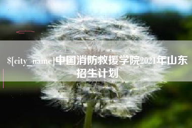 乐平中国消防救援学院2021年山东招生计划