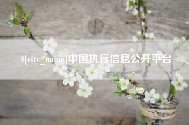 乐平中国执行信息公开平台