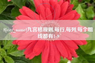 乐平九宫格规则,每行,每列,每个粗线都有1-9